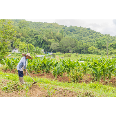 Sustainable Agriculture and Its Implementation in Hong Kong icon