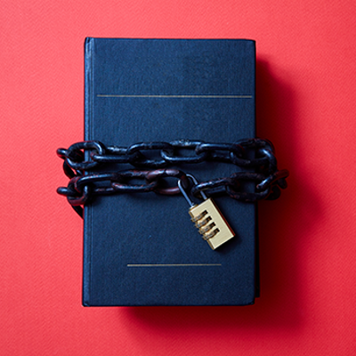 Copyright Enforcement and Defenses icon