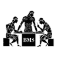 The Management Challenge icon