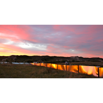 The Wild Experiment That Showed Evolution in Real Time