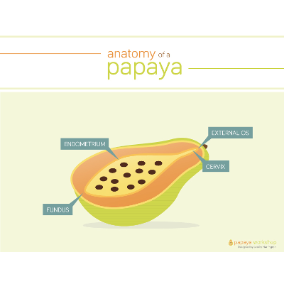 Papaya Workshop icon