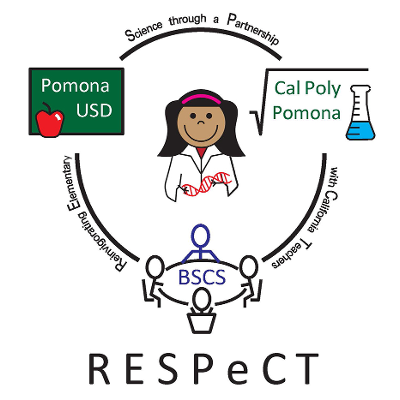 RESPeCT PD materials and K-6 lesson modules