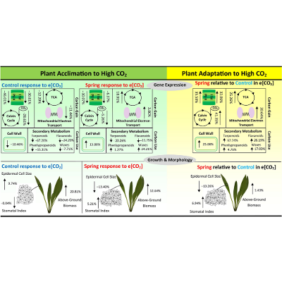 RNA-Seq shows plants are adapting to increasing atmospheric CO2