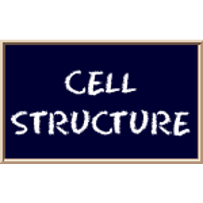 Biology4Kids.com: Cell Structure: Chromosomes icon