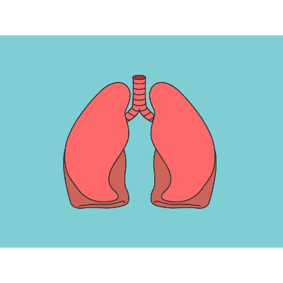 Lung Anatomy, Function, and Diagrams icon