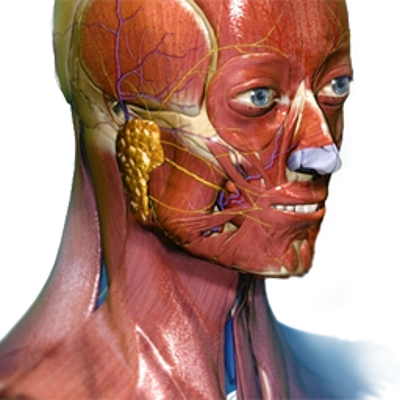 3D Anatomy Learning icon