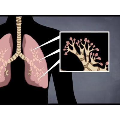 Respiratory System Animated Rap Song (How And Why We Breathe) icon