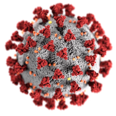 South Park, CO COVID Response Site to Online Teaching and Learning icon