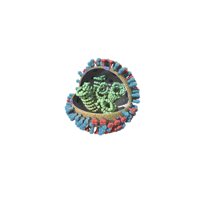 The difference between COVID-19 and influenza icon