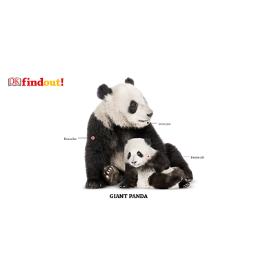 DK Find Out! | Land Habitats icon