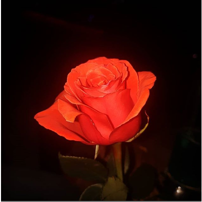 Voki - Introducción Aplicaciones para PET ambar Con PLC icon