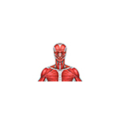 Anatomy and Physiology icon