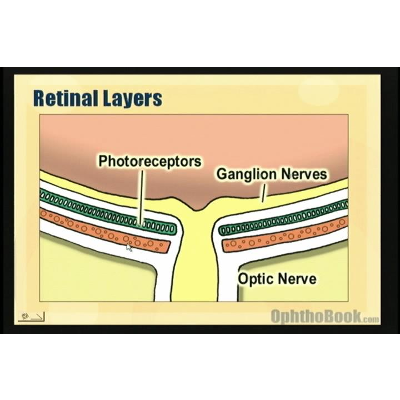 Retina Basics Video - TimRoot.com icon