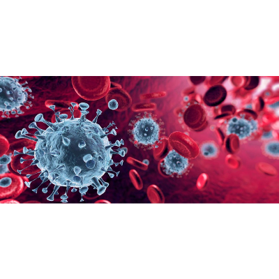 Understanding the COVID-19 Pandemic