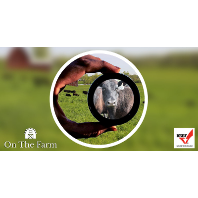 Phenomena Found in Agriculture - High School Genetics and Heredity Unit icon