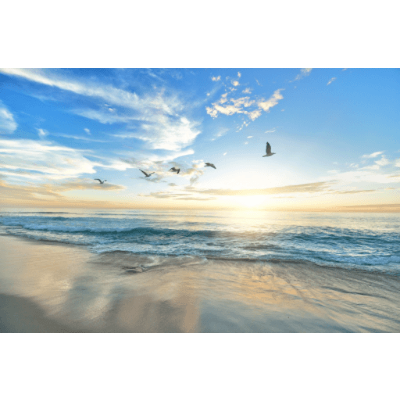 Classical Mechanics with Numerical Methods icon