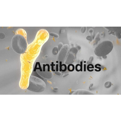 British study shows evidence of waning immunity to Covid-19 icon