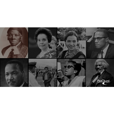 Black Freedom Struggle in The United States: A Selection of Primary Sources icon