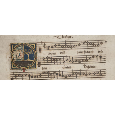 DVL: Vatican Library icon