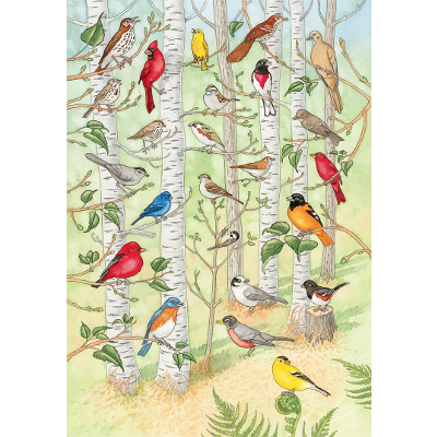 Minnesota Bird Songs icon