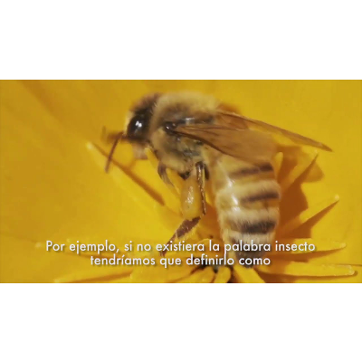 Time 5 Conceptos y Categorías icon