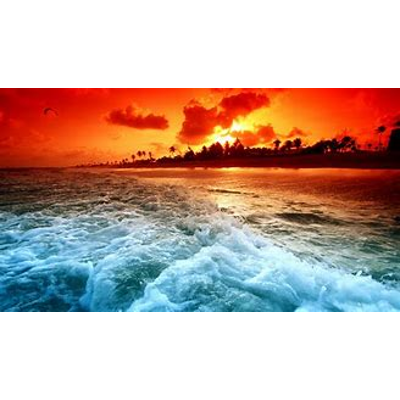 Online Shopping in Pakistan: Electronics, Computers, Smart Home - Tejar.pkin icon