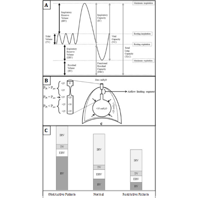 Physiology, Lung Capacity - StatPearls - NCBI Bookshelf icon