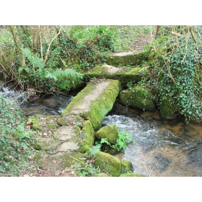 Belonging Meditation Lesson Plan