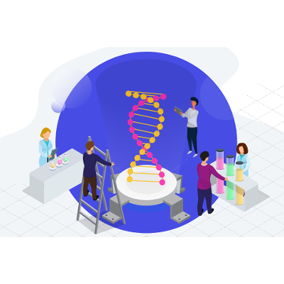 RLO: DNA Damage and Repair Mechanisms in Human Cells icon