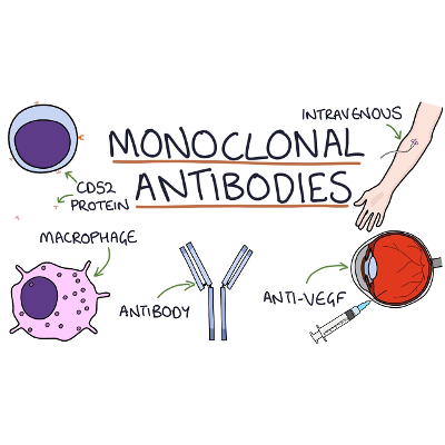 How do monoclonal antibodies work? Rituximab, infliximab, adalimumab and others icon