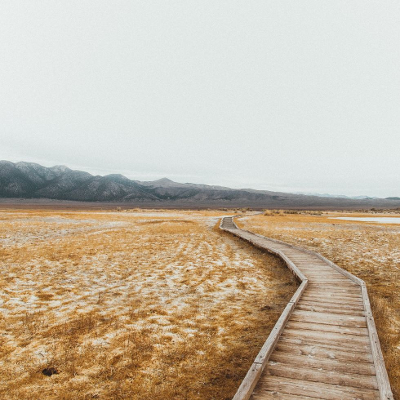 The Open Learner Patchbook icon