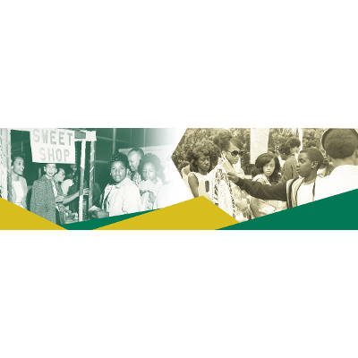 History - Norfolk State University icon