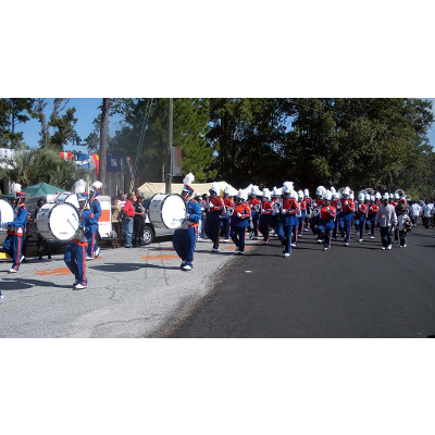 Savannah State University (1890- ) icon
