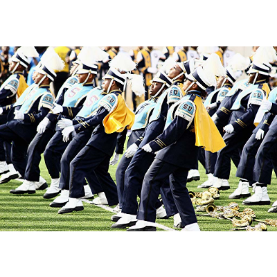 Southern University [Baton Rouge] (1880- ) icon