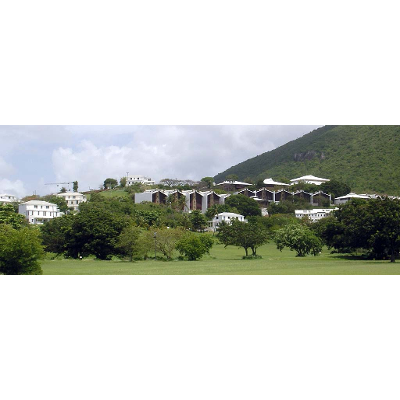 University of the Virgin Islands (1962- ) icon