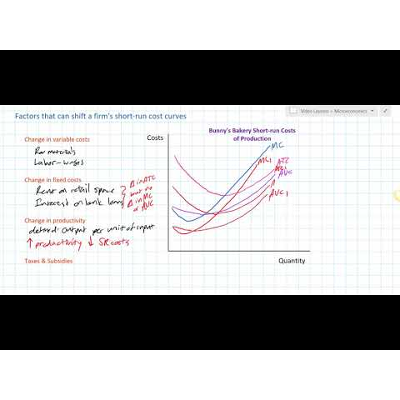 Factors that can Shift a Firm's Short run Costs of Production icon