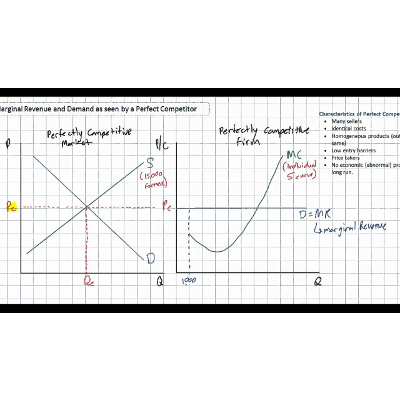 Demand, Marginal Revenue and Profit Maximization for a Perfect Competitor icon