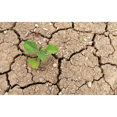 Building personal resilience