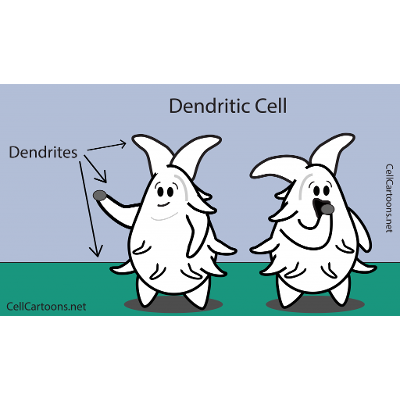 Dendritic Cells - Cell Cartoons icon