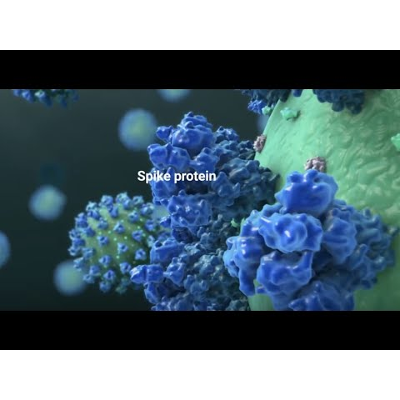 COVID-19 mRNA Vaccine: Will It Change My DNA? icon