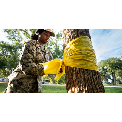 Four times as many troops and vets have died by suicide as in combat, study finds icon