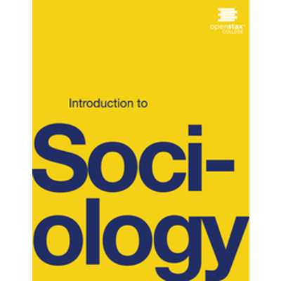 Introduction to Sociology icon