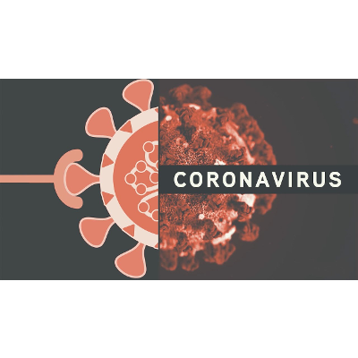 Studying Coronaviruses: Vectors to Vaccines icon