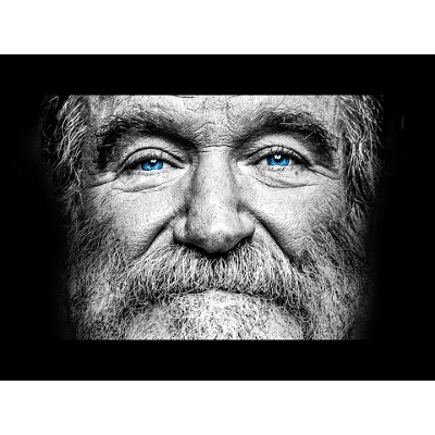 We See It Too Late - Robin Williams On The Fragile Meaning Of Life icon