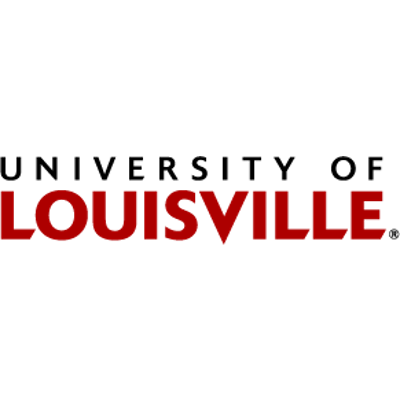 Novel Coronavirus (nCoV2019) icon