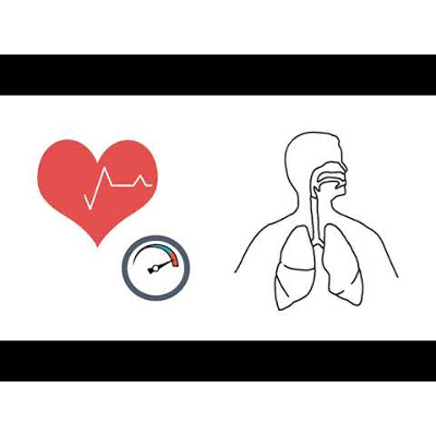 Wired for Danger: The Effects of Childhood Trauma on the Brain icon