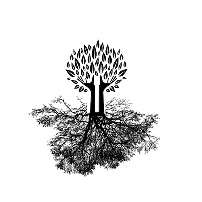 Human Behavior and the Social Environment II icon