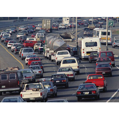 Environmental Health icon