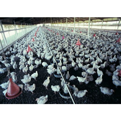 Impact of Pandemic Influenza on Public Health icon