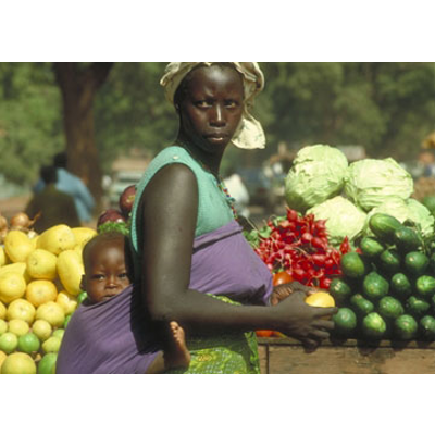 International Nutrition icon